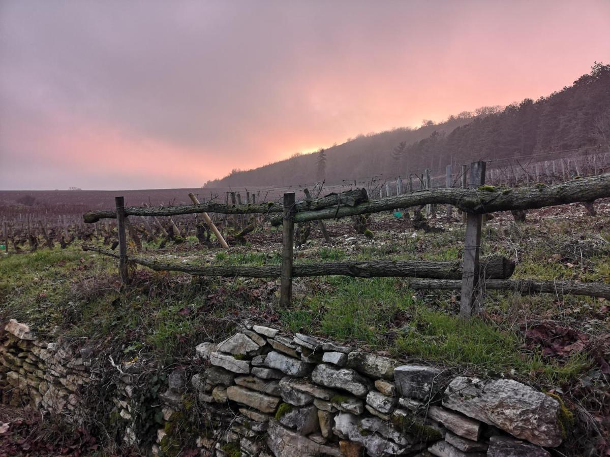Domaine Des Closeaux Puligny-Montrachet Buitenkant foto