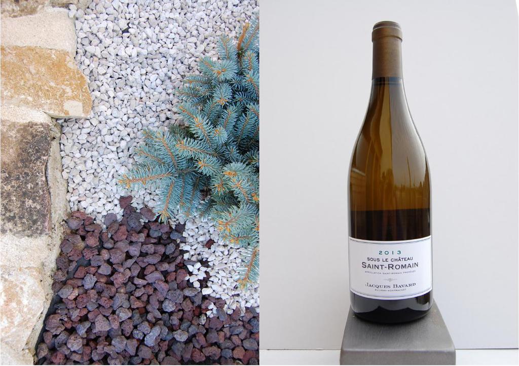 Domaine Des Closeaux Puligny-Montrachet Buitenkant foto