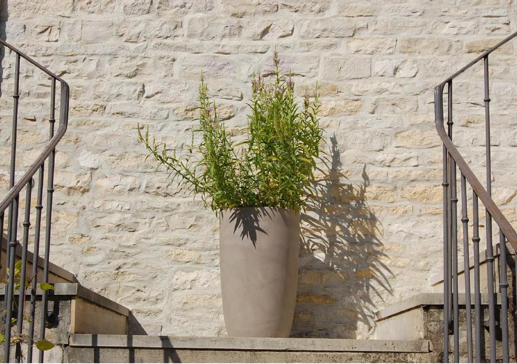 Domaine Des Closeaux Puligny-Montrachet Buitenkant foto