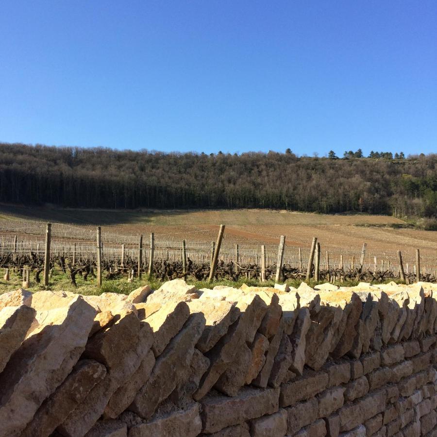 Domaine Des Closeaux Puligny-Montrachet Buitenkant foto